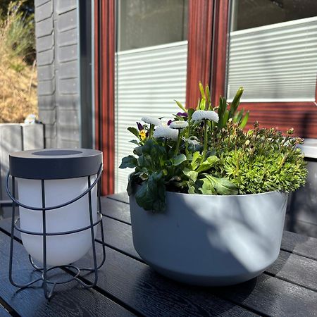Dein Winterberg Apartment - Wifi Geschirrspueler Smart Tv חדר תמונה