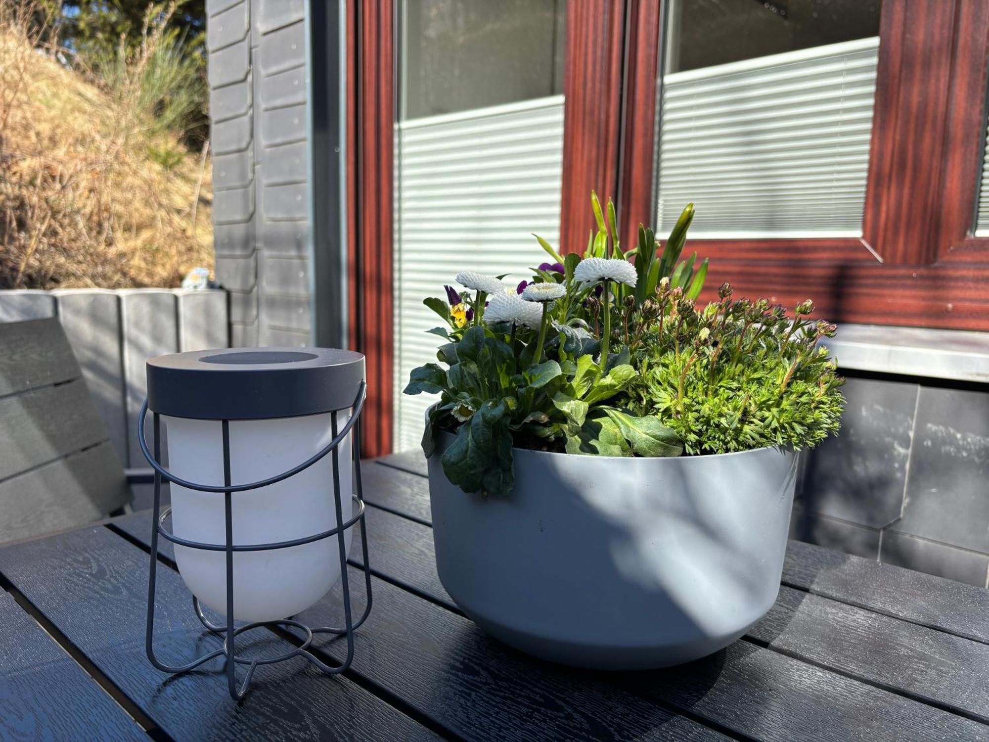 Dein Winterberg Apartment - Wifi Geschirrspueler Smart Tv חדר תמונה